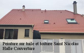 Peinture sur tuile et toiture  62223