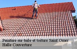 Peinture sur tuile et toiture saint-omer-62500 Halle Couverture