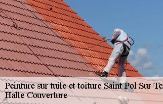 Peinture sur tuile et toiture