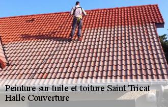 Peinture sur tuile et toiture saint-tricat-62185 Dh Couverture