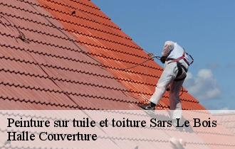 Peinture sur tuile et toiture