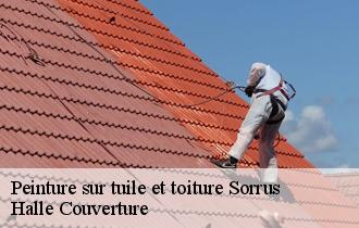 Peinture sur tuile et toiture