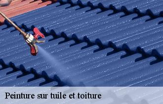 Peinture sur tuile et toiture