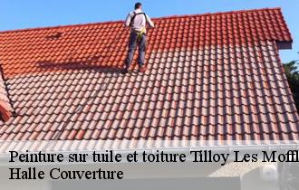 Peinture sur tuile et toiture tilloy-les-mofflaines-62217 Halle Couverture