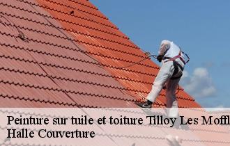 Peinture sur tuile et toiture