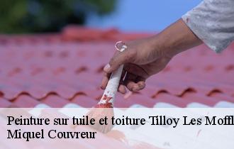 Peinture sur tuile et toiture  tilloy-les-mofflaines-62217 Miquel Couvreur