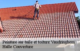 Peinture sur tuile et toiture  vaudringhem-62380 Halle Couverture