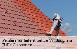 Peinture sur tuile et toiture