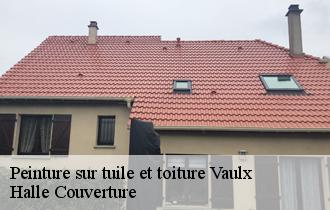 Peinture sur tuile et toiture 62390