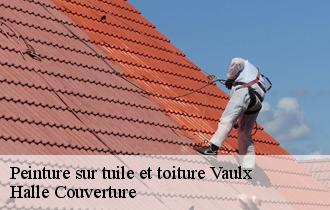 Peinture sur tuile et toiture