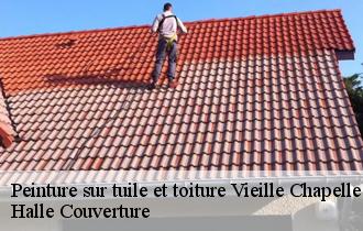 Peinture sur tuile et toiture  vieille-chapelle-62136 Halle Couverture