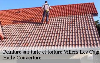 Peinture sur tuile et toiture villers-les-cagnicourt-62182 Halle Couverture