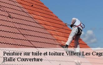 Peinture sur tuile et toiture