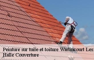 Peinture sur tuile et toiture