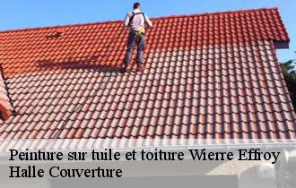 Peinture sur tuile et toiture  wierre-effroy-62720 Halle Couverture