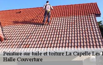 Peinture sur tuile et toiture  la-capelle-les-boulogne-62360 Halle Couverture