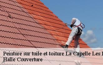 Peinture sur tuile et toiture