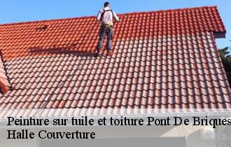 Peinture sur tuile pont-de-briques-saint-etienn-62360