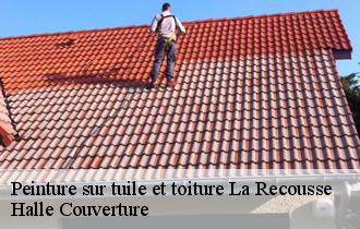 Peinture sur tuile et toiture  la-recousse-62890 Halle Couverture