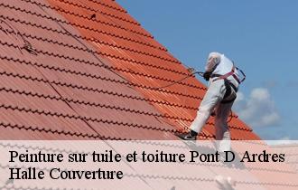 Peinture sur tuile et toiture