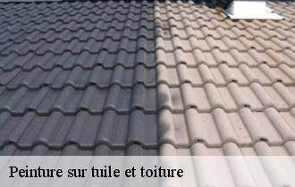 Peinture sur tuile et toiture  62176