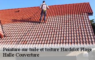 Peinture sur tuile et toiture  hardelot-plage-62152 Halle Couverture