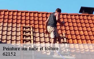 Peinture sur tuile et toiture  62152