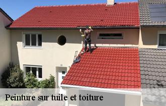 Peinture sur tuile et toiture
