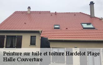 Peinture sur tuile et toiture  62152