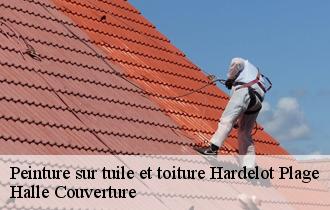 Peinture sur tuile et toiture