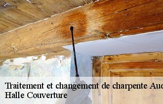 Traitement et changement de charpente