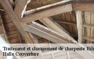 Traitement et changement de charpente  bihucourt-62121 Halle Couverture