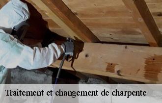 Traitement et changement de charpente