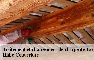 Traitement et changement de charpente  62175