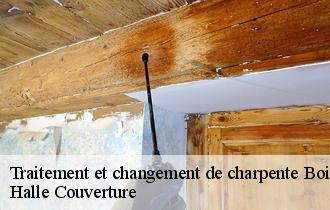 Traitement et changement de charpente