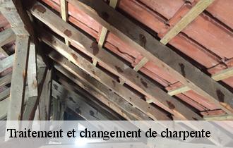 Traitement et changement de charpente