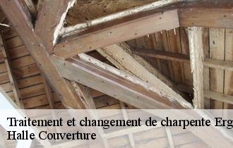 Traitement et changement de charpente  ergny-62650 Halle Couverture