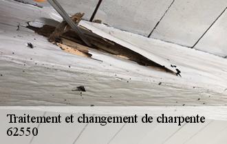 Traitement et changement de charpente  62550