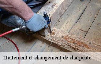 Traitement et changement de charpente  62111