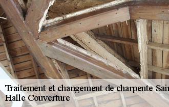 Traitement et changement de charpente  saint-folquin-62370 Halle Couverture