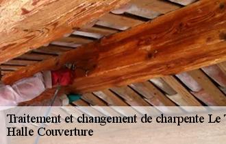 Traitement et changement de charpente  62520