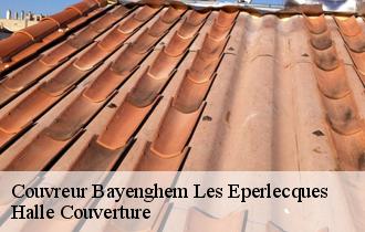 Couvreur 62910