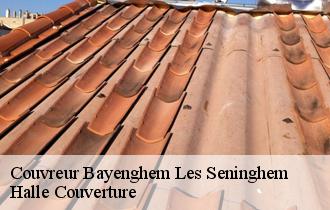 Couvreur 62380