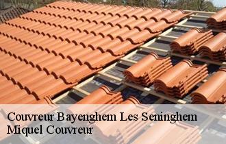 Couvreur  bayenghem-les-seninghem-62380 Miquel Couvreur