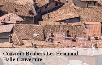 Couvreur boubers-les-hesmond-62990 Halle Couverture