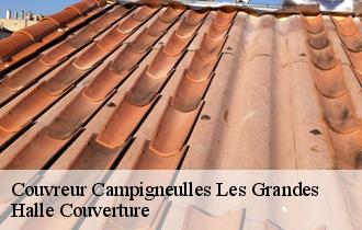 Couvreur 62170