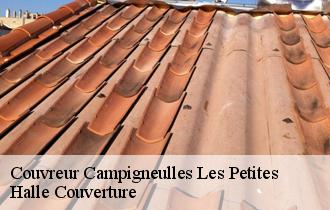 Couvreur  62170