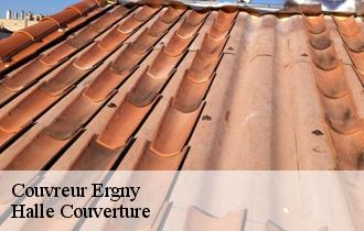 Couvreur  62650