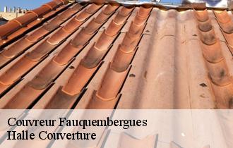 Couvreur 62560