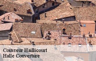 Couvreur  haillicourt-62940 Halle Couverture